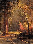 Albert Bierstadt Dogwood by Albert Bierstadt oil painting